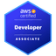 AWS Certified Developer - Associate